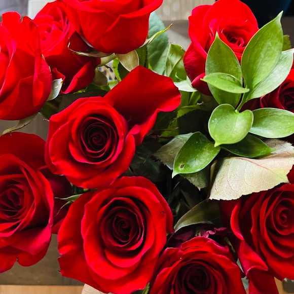 Meet your Posher, Paula - Picture 1 of 1